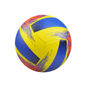 Volley Ball