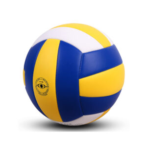Volley Ball