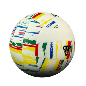 Volley Ball